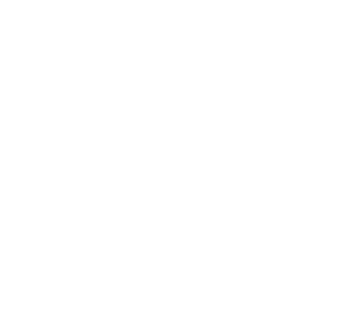 logo domain